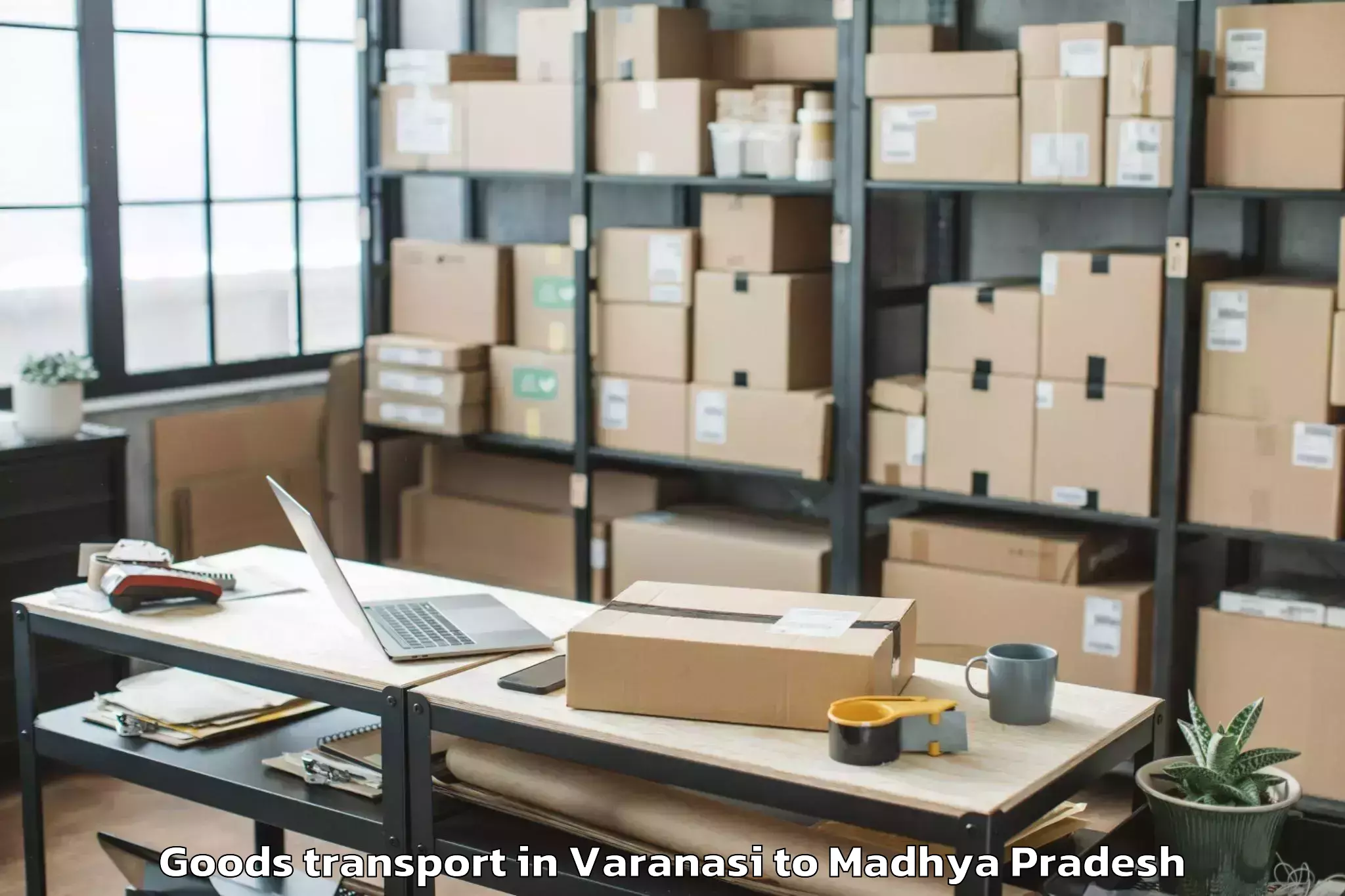 Hassle-Free Varanasi to Dhar Goods Transport